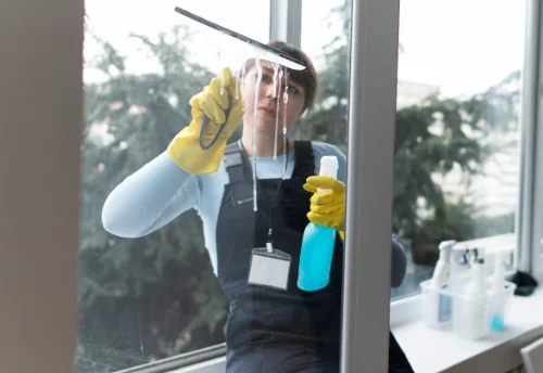 Nettoyage de vitres intérieures et extérieures à Boussais